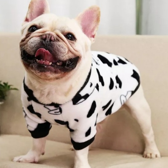 BLK & WHT PET SWEATER - Picture 1 of 2